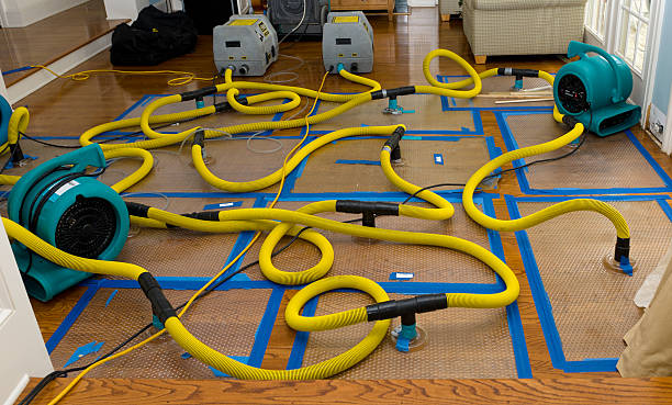 Professional Crawl Space Water Removal technician working in Carthage, MS